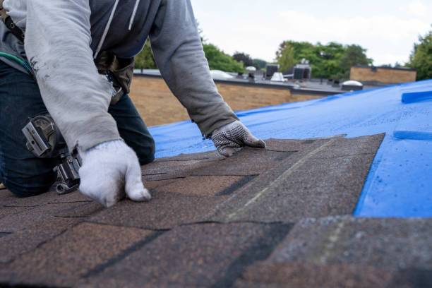 Best New Roof Installation  in Plover, WI