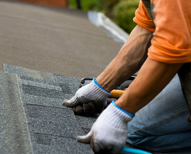 Roof Repair Estimates in Plover, WI